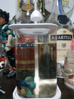(Category: ) located in . Submitted by edmond5525 (Listing ID 1440053365, Image 1). Description: .