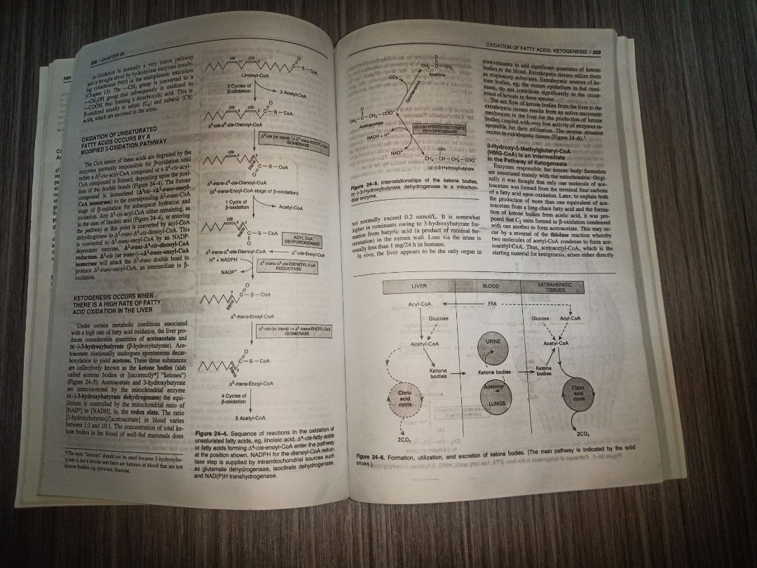 Harper's Biochemistry 24th edition (Category: Textbooks) located in Manila. Submitted by bangskrt (Listing ID 1440095026, Image 2). Description: 50php only might give some health related books for free if you'll purchase this :) can do meet up around ust or sm san lazaro.