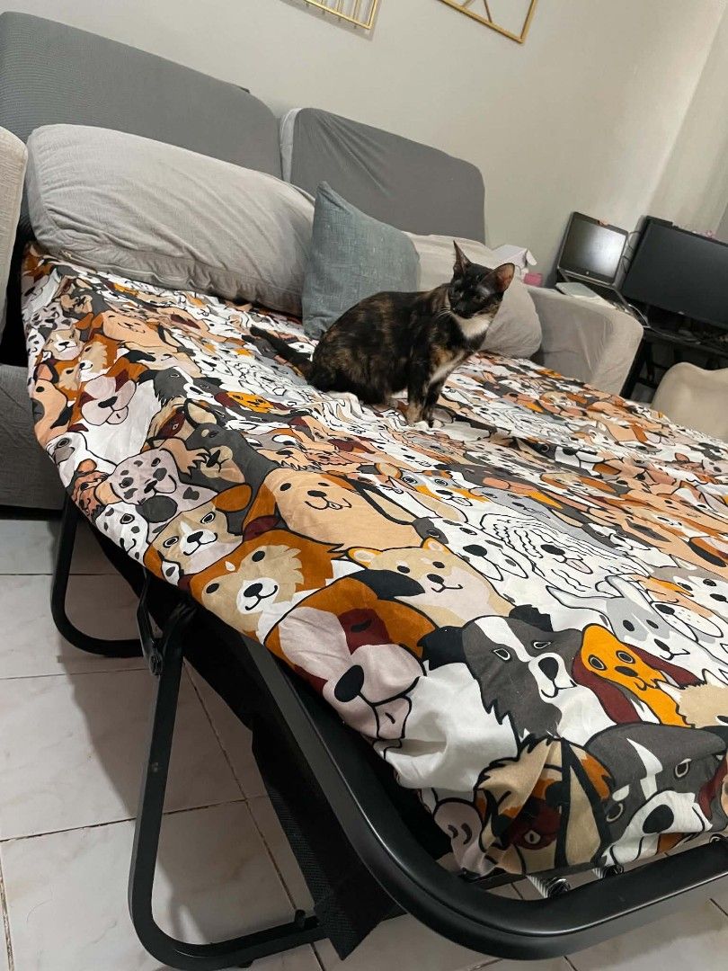Mandaue Foam Stacey Sofa Bed FS (Category: Sofas) located in Bulacan. Submitted by boldowl_72dbcd (Listing ID 1440023581, Image 3). Description: 7, 000 only!!! for pick up or Lalamove only Location: Dulong Bayan Bulacan.