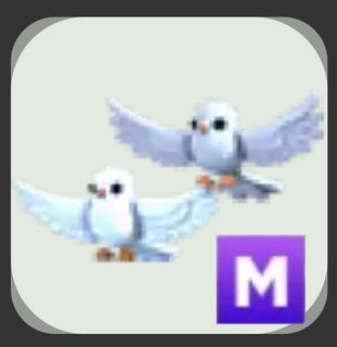(Category: ) located in . Submitted by deardolia (Listing ID 1440005220, Image 1). Description: .