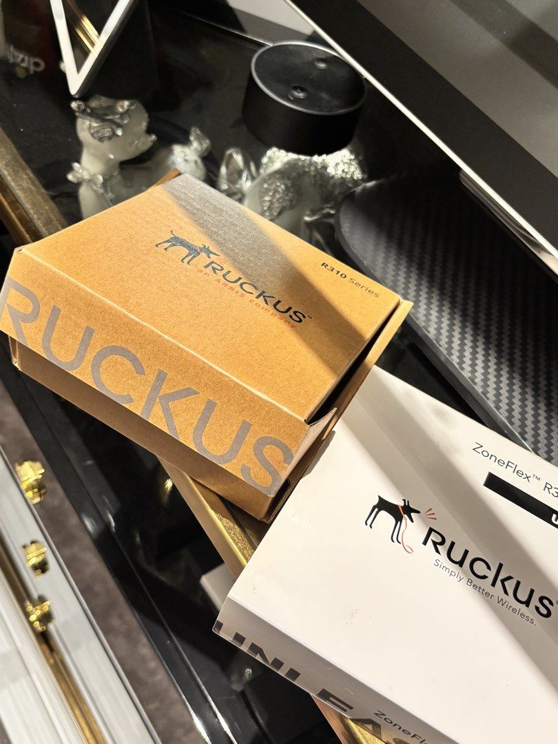 Ruckus ZoneFlex R310 Unleashed Wireless Access Point465094059020800002