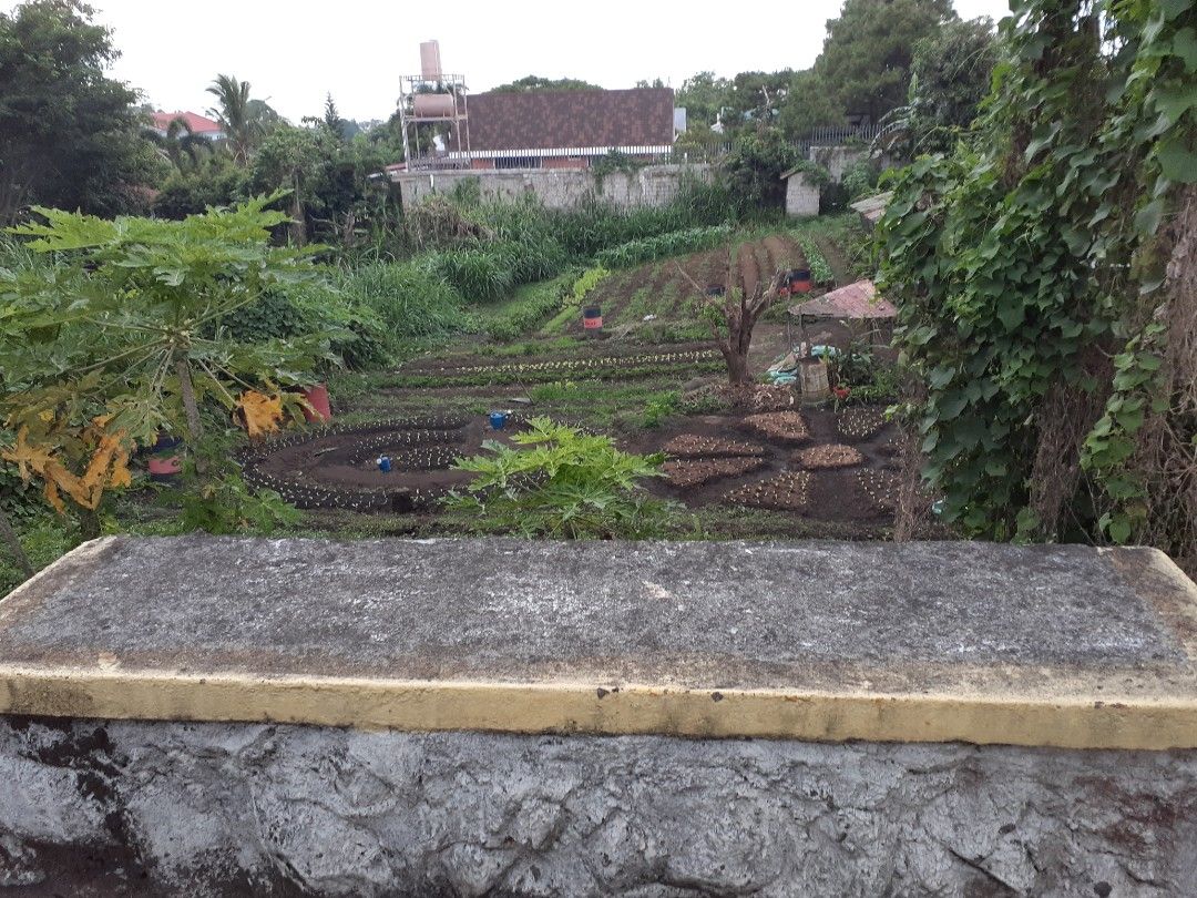Tagaytay Land for Lease (Category: Lot) located in Pasig City. Submitted by aaa-choooo (Listing ID 1440005174, Image 1). Description: LAND FOR LEASE - Prime location - 890 sqm - Nusugbu Highway - Across Cliffhouse Tagaytay - Near Balay Dako - Long-term Lease.