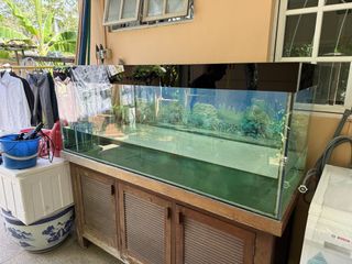 (Category: ) located in . Submitted by ace16 (Listing ID 1440243540, Image 1). Description: .