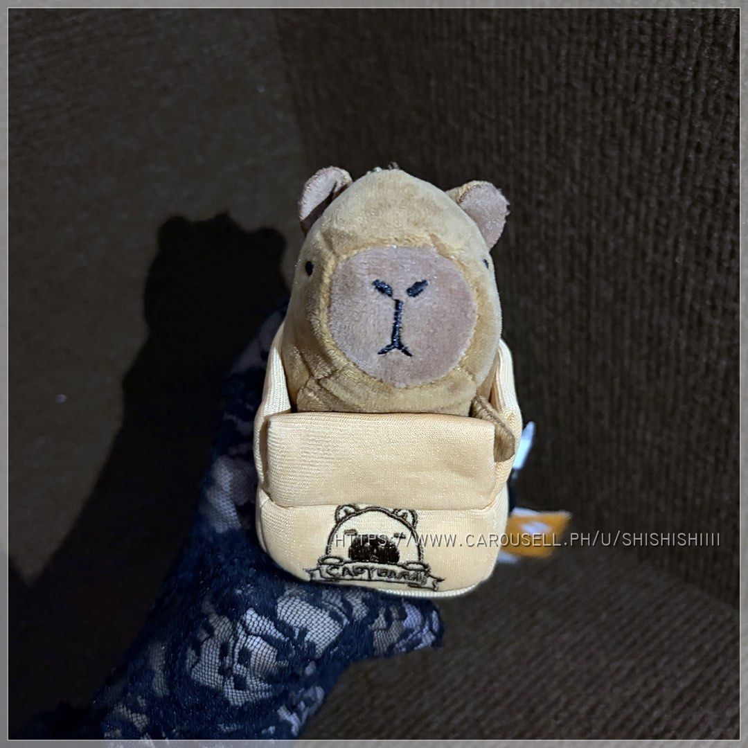 🌸 capybara in a box (Category: Designer & Blind Box Toys) located in Quezon City. Submitted by shishishiiii (Listing ID 1440366122, Image 1). Description: .