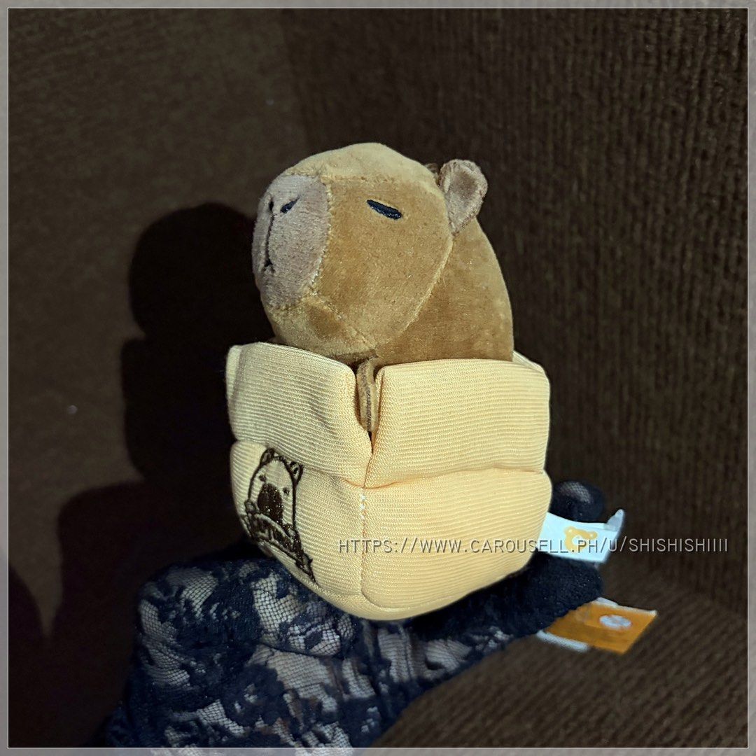 🌸 capybara in a box (Category: Designer & Blind Box Toys) located in Quezon City. Submitted by shishishiiii (Listing ID 1440366122, Image 2). Description: .