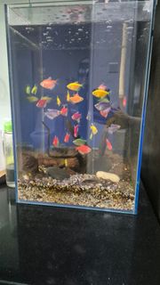 (Category: ) located in . Submitted by fish328 (Listing ID 1440197481, Image 1). Description: .