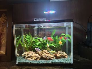 (Category: ) located in . Submitted by szfamilyhey (Listing ID 1440342122, Image 1). Description: .