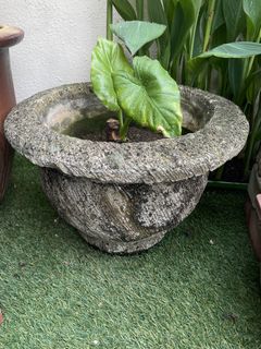 (Category: ) located in . Submitted by r100rs (Listing ID 1386467466, Image 1). Description: .