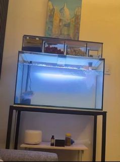 (Category: ) located in . Submitted by naenaewats25739 (Listing ID 1440302897, Image 1). Description: .