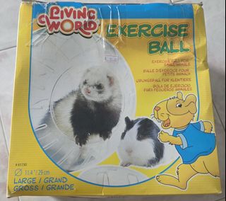 (Category: ) located in . Submitted by blackhamster (Listing ID 1440276361, Image 1). Description: .