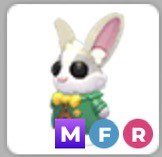 (Category: ) located in . Submitted by lioraced (Listing ID 1440383948, Image 1). Description: .