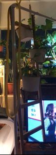 (Category: ) located in . Submitted by coh9392 (Listing ID 1440360137, Image 1). Description: .