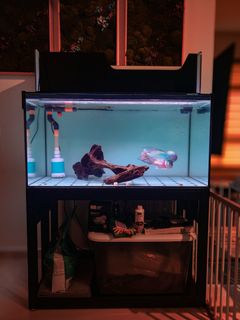 (Category: ) located in . Submitted by ssree (Listing ID 1440408634, Image 1). Description: .