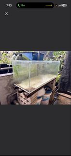 (Category: ) located in . Submitted by newocean-f3f7df (Listing ID 1440576341, Image 1). Description: .