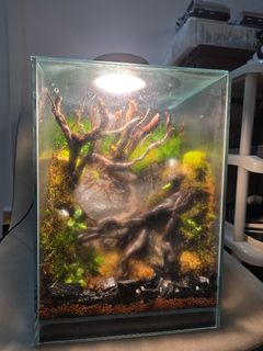 (Category: ) located in . Submitted by 283748 (Listing ID 1440544052, Image 1). Description: .