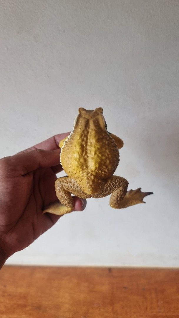 Japanese Common Toad - Ikimon Nature Techni Colour (Category: Figurines & Statues) located in Consolacion. Submitted by zeon27 (Listing ID 1440489712, Image 3). Description: *DISCLAIMER: this is a realistic toy/figure, not a real animal Japanese Gachapon Brand: Ikimon Nature Techni Colour Series: Big Japanese Common Toad (Bufo japonicus) Variant: Yellow Loc: Cebu (can do meet-ups or shipping via J&T/LBC) MOP: Cash or GCash.