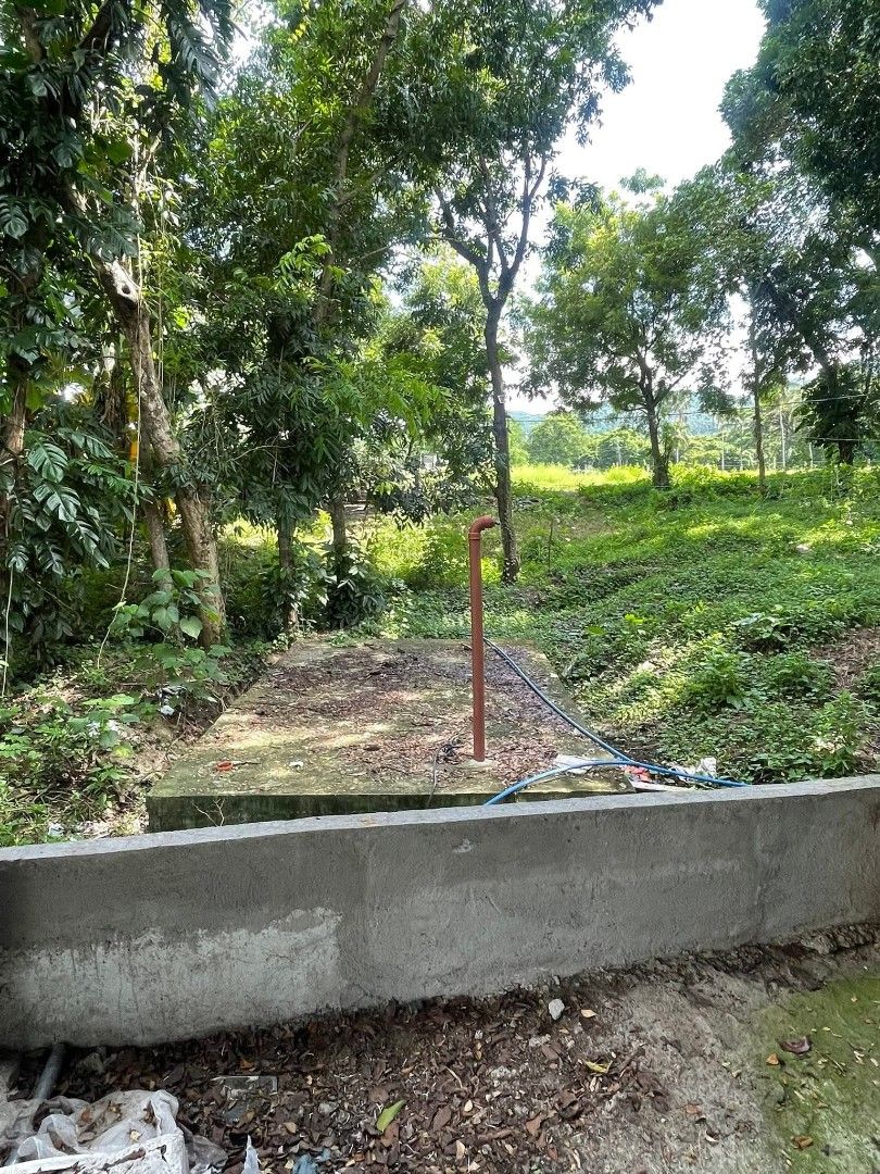 Piggery in San Juan Batangas (Category: Lot) located in Manila. Submitted by clouddotstudio (Listing ID 1440396746, Image 3). Description: Piggery farm located in San Juan, Batangas Complete building, lalagyan nlang ng baboy. Ready na!! - 10,000 sqm. lot area -8 newly built buildings -Fattening building can fit up to 400-450 heads fattener -sow level up to 103 heads -farrowing with 34 rooms for piglets -nursery room with 5rooms -marketing pen 2 r