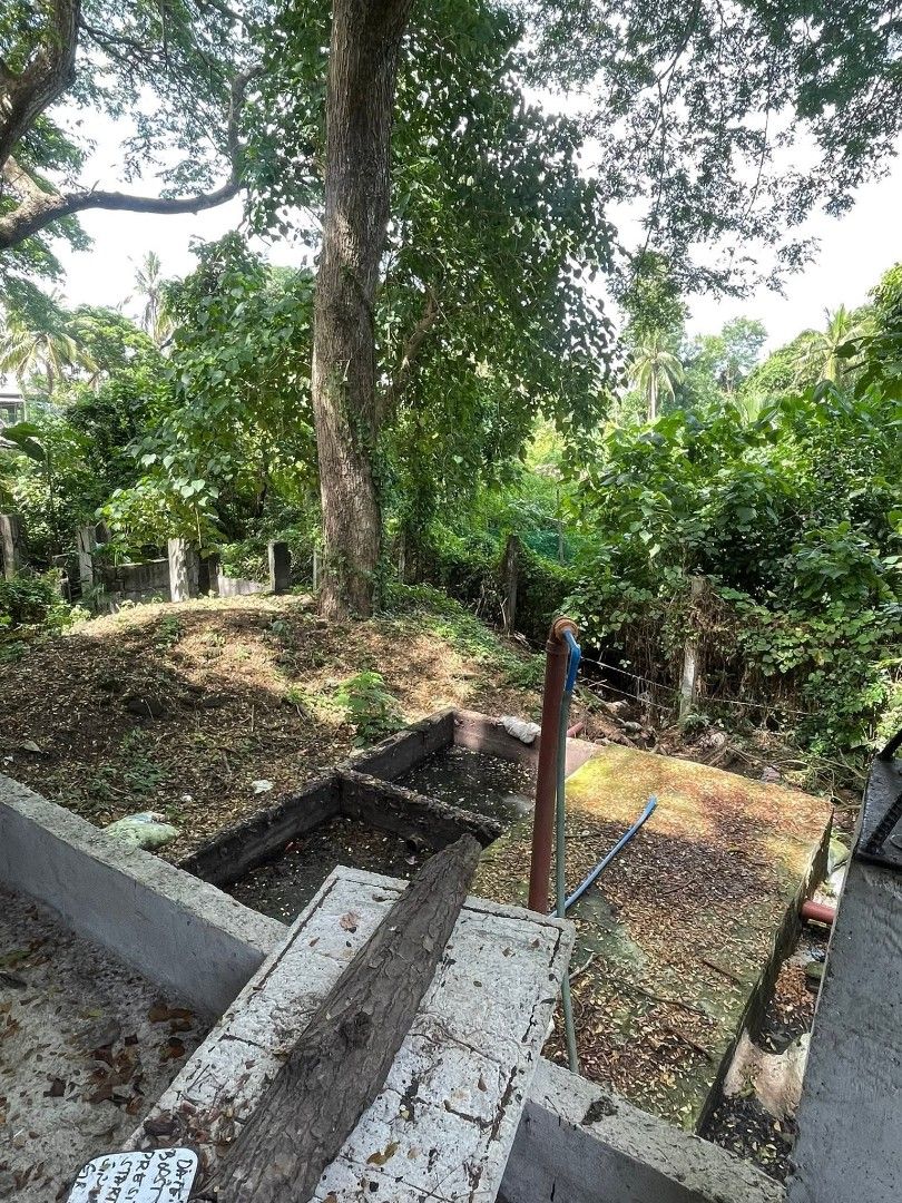 Piggery in San Juan Batangas (Category: Lot) located in Manila. Submitted by clouddotstudio (Listing ID 1440396746, Image 2). Description: Piggery farm located in San Juan, Batangas Complete building, lalagyan nlang ng baboy. Ready na!! - 10,000 sqm. lot area -8 newly built buildings -Fattening building can fit up to 400-450 heads fattener -sow level up to 103 heads -farrowing with 34 rooms for piglets -nursery room with 5rooms -marketing pen 2 r