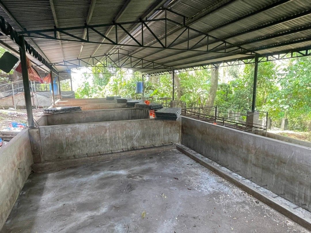Piggery in San Juan Batangas (Category: Lot) located in Manila. Submitted by clouddotstudio (Listing ID 1440396746, Image 1). Description: Piggery farm located in San Juan, Batangas Complete building, lalagyan nlang ng baboy. Ready na!! - 10,000 sqm. lot area -8 newly built buildings -Fattening building can fit up to 400-450 heads fattener -sow level up to 103 heads -farrowing with 34 rooms for piglets -nursery room with 5rooms -marketing pen 2 r