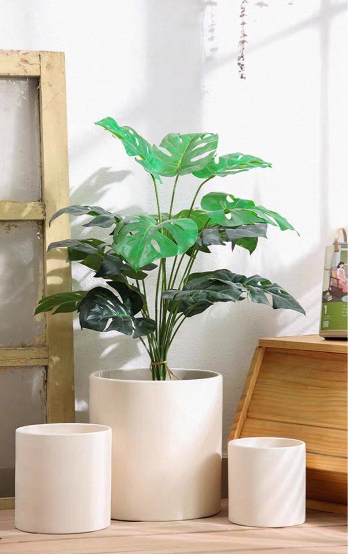 Planter Pot466886690614824962