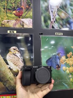 （分類：）位於 。 由 shamwo_114 提交（商品編號 1379047437，圖片 1）。簡介： 。