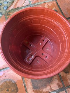 (Category: ) located in . Submitted by TableTopGarden (Listing ID 1440470932, Image 1). Description: .