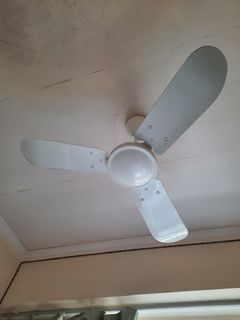 （分類：）位於 。 由 wn.11 提交（商品編號 1440453707，圖片 1）。簡介： 。