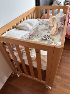 (Category: ) located in . Submitted by orchidpp (Listing ID 1440458166, Image 1). Description: .