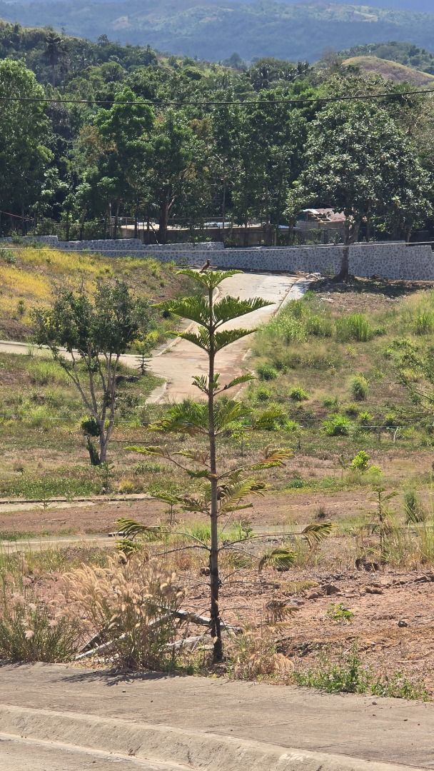 252 sqm lot at Tanay Rizal (Category: Lot) located in Quezon City. Submitted by jeyoleo (Listing ID 1440604089, Image 3). Description: High End Residential Subdivision Lot at Tanay Rizal! Plenty of available lot to choose from! Be the first to choose the best lot! 252 sqm lot Php 4,150,000 27k per month 20%DP Spread for 24 Months Highlights: Fresh air Majestic View Lush Green Open Spaces Cool Breeze Strategic Location Capital Appreciation.