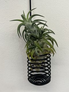 (Category: ) located in . Submitted by tansh154460898 (Listing ID 1440628455, Image 1). Description: .