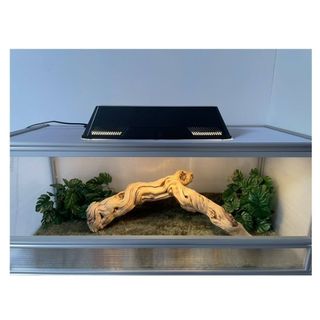 (Category: ) located in . Submitted by salesbyvolume (Listing ID 1440702696, Image 1). Description: .