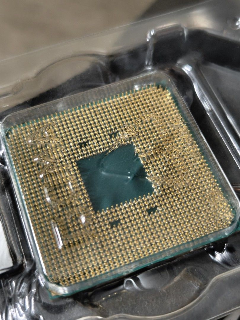 AMD Ryzen 5 3600 Processor467646541789941761
