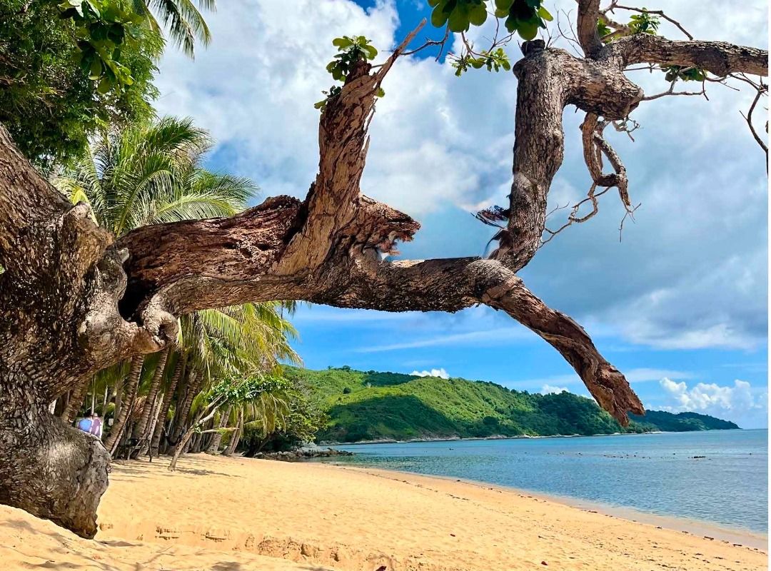 EL NIDO WIDE WHITE FRONT BEACH (Category: Lot) located in Mandaluyong City. Submitted by jimord_2020 (Listing ID 1440616640, Image 2). Description: A 14.4 - Hectare titled property located at Teniguiban, El Nido, Palawan, with an unspoiled white wide beach..