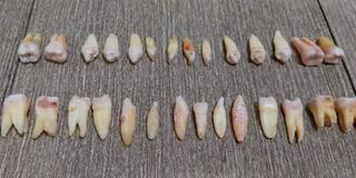 (Kategori: ) berada di . Dikirim oleh larismaniscuan (ID iklan 1440660722, Gambar 1). Deskripsi: .