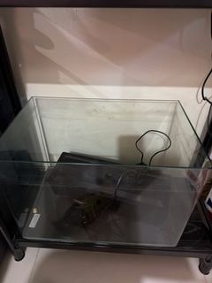 (Category: ) located in . Submitted by rcsellall (Listing ID 1440696377, Image 1). Description: .