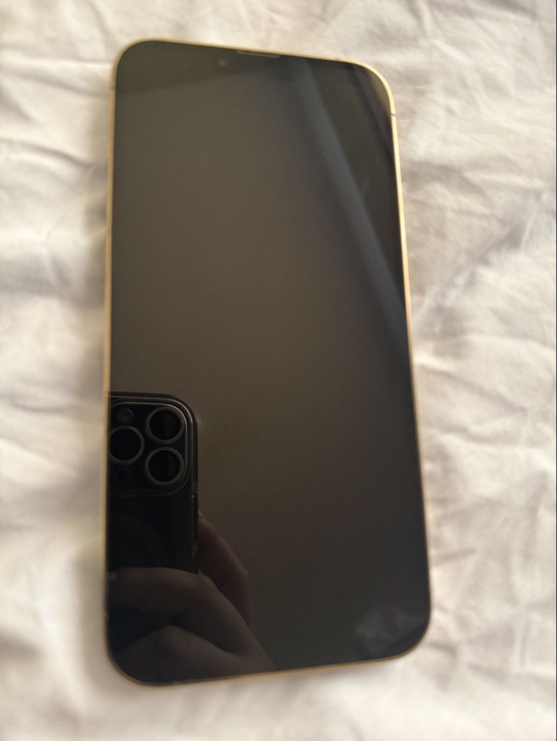 iphone 13 pro max - 256GB preloved lady owned (Category: iPhone 13 Series) located in Binan City. Submitted by miencielo (Listing ID 1440592714, Image 2). Description: preloved- lady owned used with care Gold 256 gB No scratches, no dents open line with box included 76% battery health no adapter included RFS: need cash .