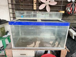 (Category: ) located in . Submitted by riviel (Listing ID 1440626066, Image 1). Description: .