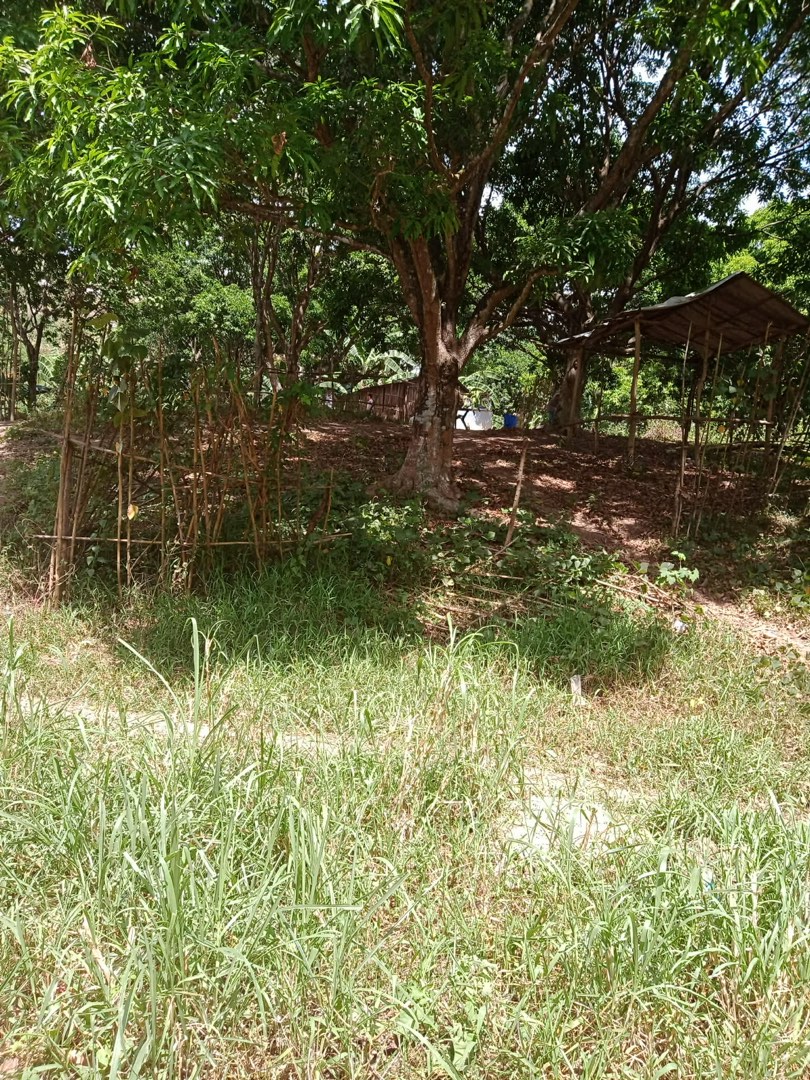 (Category: ) located in . Submitted by dang8413 (Listing ID 1440688956, Image 1). Description: .