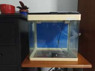 (Category: ) located in . Submitted by josephtlt (Listing ID 1440757395, Image 1). Description: .