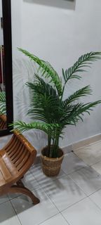 (Category: ) located in . Submitted by sulfatinar (Listing ID 1440652947, Image 1). Description: .