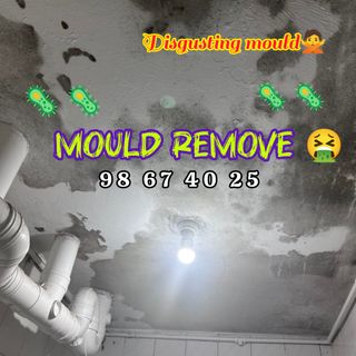 Mould Treatment  Collection item 1