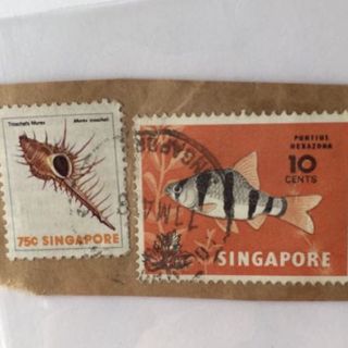 (Category: ) located in . Submitted by lkysc (Listing ID 1440597617, Image 1). Description: .