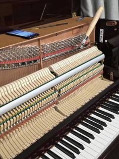 (Category: ) located in . Submitted by crescendomusicstudio (Listing ID 1440596319, Image 1). Description: .
