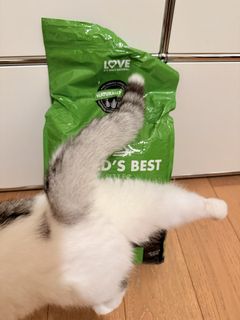 （分類：）位於 。 由 googoodan 提交（商品編號 1440735125，圖片 1）。簡介： 。