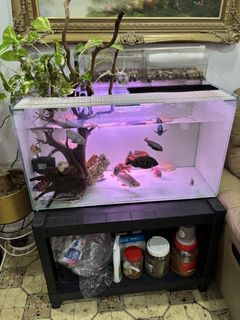 (Category: ) located in . Submitted by corydory (Listing ID 1435862517, Image 1). Description: .