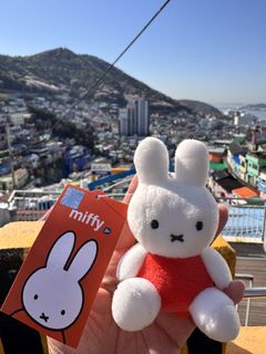 由 bear_cc (刊登 ID 1435860231，圖片 1) 提交，位於 的 (類別：)，說明：。