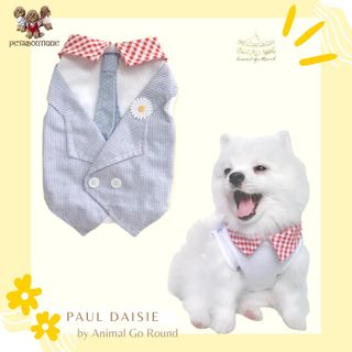 (Category: ) located in . Submitted by petsboutique_sg (Listing ID 169339168, Image 1). Description: .