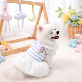 (Category: ) located in . Submitted by petsboutique_sg (Listing ID 1270373835, Image 1). Description: .