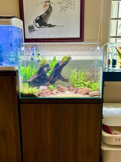 (Category: ) located in . Submitted by built_to_nature (Listing ID 1435034867, Image 1). Description: .
