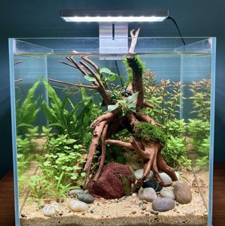 (Category: ) located in . Submitted by built_to_nature (Listing ID 1435866229, Image 1). Description: .